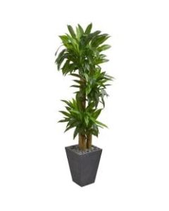 Nearly Natural 5-1/2ftH Real-Touch Polyethylene Cornstalk Dracaena Plant With Planter, Green/Slate