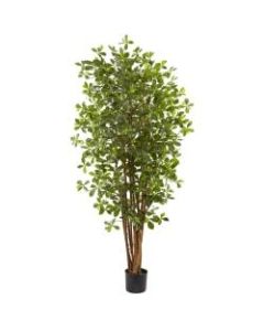 Nearly Natural 6ftH Black Olive Silk Tree With Pot, Green/Black