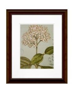 Timeless Frames Floral Katrina Brown Wall Artwork, 20in x 16in, Botanique Blue