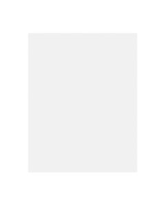 Pacon Peacock Railroad Board, 22in x 28in, 4-Ply, White, Carton Of 100 Sheets