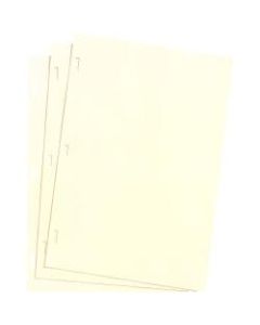 Wilson Jones Ivory Ledger Paper, 8 1/2in x 14in, Plain, 100 Sheets/Box - 28 lb - Legal - 8 1/2in x 14in Sheet Size - 3 x Holes - Ivory Sheet(s) - Paper - 100 / Box