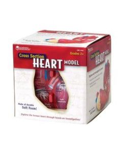 Learning Resources Human Heart Cross Section Model, 5 1/2in x 6in, Grades 6 - 12