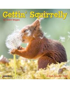 Willow Creek Press Monthly Mini Wall Calendar, 7in x 7in, Getting Squirrely, January To December 2022