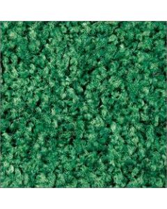 Colorstar Floor Mat, 4ft x 6ft, Emerald Green