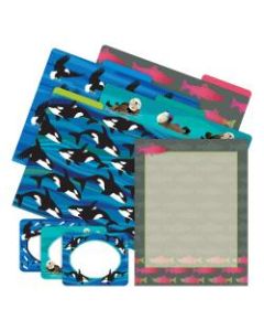 Barker Creek Get Organized Kit, Letter Size, Sea & Sky Salmon