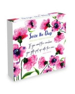 TF Publishing Inspirational Daily Desktop Calendar, 5-1/4in x 5-1/4in, Seize The Day, January To December 2022