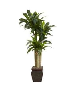 Nearly Natural 4-1/2ftH Artificial Cornstalk Dracaena Plant With Vase, Green/Brown