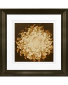 Timeless Frames Marren Espresso-Framed Floral Artwork, 8in x 8in, Chrysanthemum