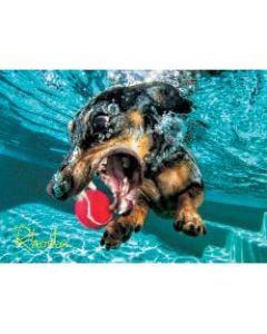 Willow Creek Press 1,000-Piece Puzzle, 26-5/8in x 19-1/4in, Underwater Dogs: Rhoda