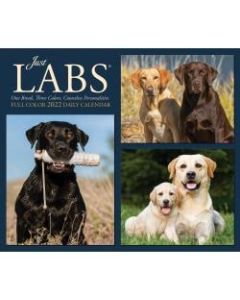 Willow Creek Press Page-A-Day Daily Desk Calendar, 5-1/2in x 6-1/4in, Labs, January To December 2022