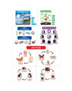 Scholastic Teachers Friend Early Science Concepts Bulletin Board Set, Preschool - Grade 2