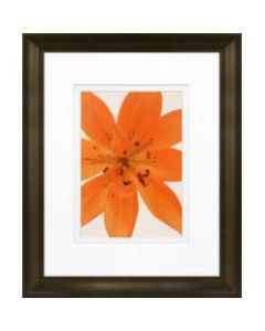 Timeless Frames Marren Espresso-Framed Floral Artwork, 8in x 10in, Tiger Lilly In Bloom