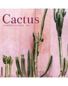 Willow Creek Press Scenic Monthly Wall Calendar, 12in x 12in, Cactus, January To December 2022