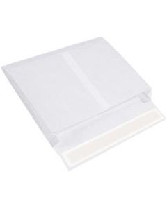 Tyvek Envelopes, Expandable, 10in x 15in x 2in, Side Opening, First-Class White, Pack Of 100