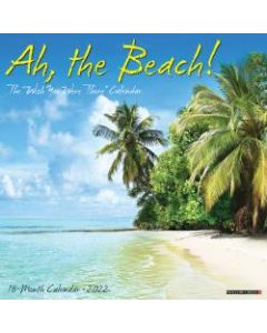 Willow Creek Press Scenic Monthly Wall Calendar, 12in x 12in, Walk The Beach, January To December 2022