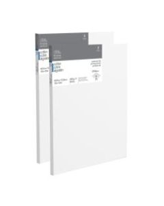 Winsor & Newton Professional Cotton-Stretched Traditional Canvases, 16in x 20in, White, Pack Of 2