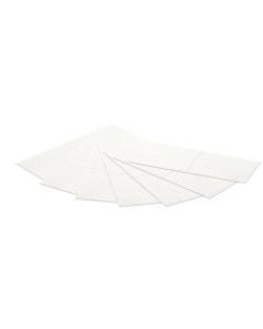 Clover Imaging Group FP Mailing Solutions Postage Meter Double-Tape Labels, ECOPLABELHT, 2 Labels Per Sheet, Box Of 500 Sheets