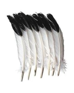 Creativity Street Imitation Eagle Feathers - Decoration, Art Project, Craft Project - 5in12in - 12 / Pack
