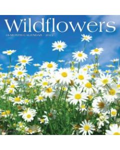 Willow Creek Press Scenic Monthly Wall Calendar, 12in x 12in, Wildflowers, January To December 2022