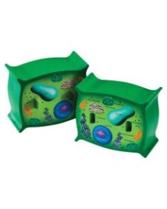 Learning Resources Plant Cell Cross-Section Model, 6in x 5 1/2in, Grades 6-12