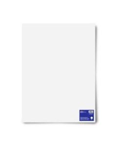 Royal Illustration Board, 20in x 30in, White