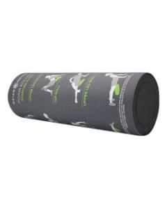 Gaiam Restore Self-Guided Foam Roller, 7-1/2in x 6-1/2in x 18-3/8inD