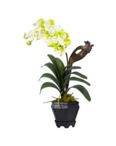 Nearly Natural 24inH Silk Vanda Silk Flower Arrangement With Vase