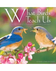 Willow Creek Press 5-1/2in x 5-1/2in Hardcover Gift Book, What Birds Teach Us By Bonnie Kuchler