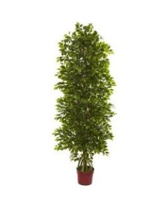 Nearly Natural 6ftH 4-Tier Mini Ficus Tree, Green