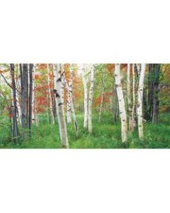 Biggies Wall Mural, 27in x 54in, Aspen Grove