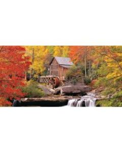 Biggies Wall Mural, 27in x 54in, Waterwheel