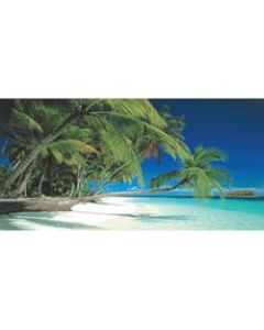 Biggies Wall Mural, 27in x 54in, Beach