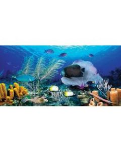 Biggies Wall Mural, 27in x 54in, Ocean Reef