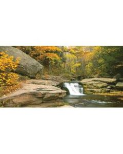 Biggies Wall Mural, 27in x 54in, Stream