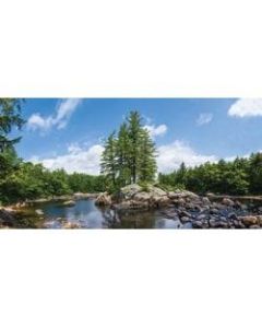 Biggies Wall Mural, 27in x 54in, Tree