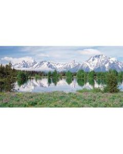 Biggies Wall Mural, 40in x 80in, Mountain Flower