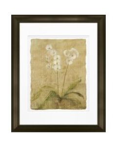 Timeless Frames Katrina Framed Floral Artwork, 11in x 14in, Brown, Orchid
