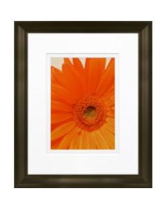 Timeless Frames Marren Espresso-Framed Floral Artwork, 8in x 10in, Daisy In Bloom