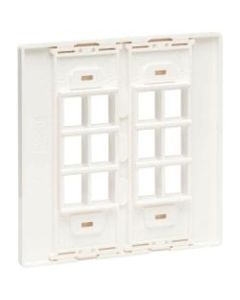 Tripp Lite 12-Port Double-Gang Universal Keystone Wall Plate, Cat5e/6/6a, USB, HDMI, DisplayPort, White, TAA - Faceplate - wall mountable - white - 2-gang - 12 ports - TAA Compliant