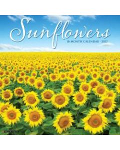 Willow Creek Press Scenic Monthly Wall Calendar, 12in x 12in, Sunflowers, January To December 2022