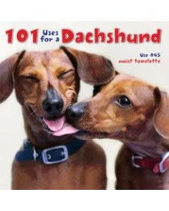 Willow Creek Press 5-1/2in x 5-1/2in Hardcover Gift Book, 101 Uses For A Dachshund
