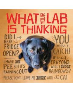 Willow Creek Press 5-1/2in x 5-1/2in Hardcover Gift Book, What Your Lab Is Thinking