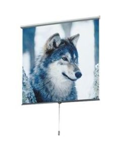 Draper Luma 100in Projection Screen - Matt White XT1000E - Wall Mount, Ceiling Mount
