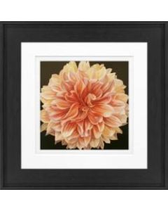 Timeless Frames Alexis Framed Floral Artwork, 8in x 8in, Black Frame, Orange Dahlia