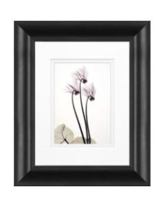 Timeless Frames Marren Framed Floral Artwork, 8in x 10in, Black, Cyclamen Trio
