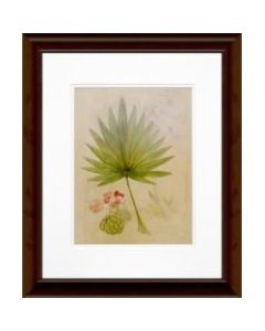 Timeless Frames Floral Katrina Brown Wall Artwork, 20in x 16in, Botanical Journal II