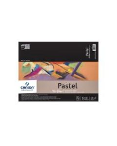 Canson Mi-Teintes Pastel Pad, 12in x 16in, Assorted Colors, 24 Sheets Per Pad