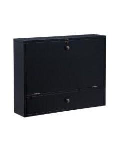 Southern Enterprises Wall-Mount 26inW Desk With Storage, Black