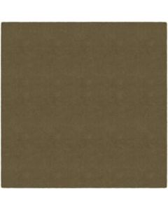 Flagship Carpets Americolors Rug, Square, 12ft x 12ft, Almond