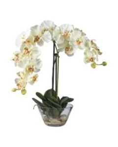 Nearly Natural 18inH Phalaenopsis Silk Flower Arrangement With Glass Vase, White